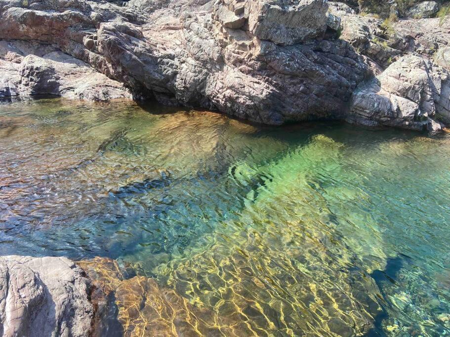 Exceptionnelle Vue Calvi - Piscine - T2 *