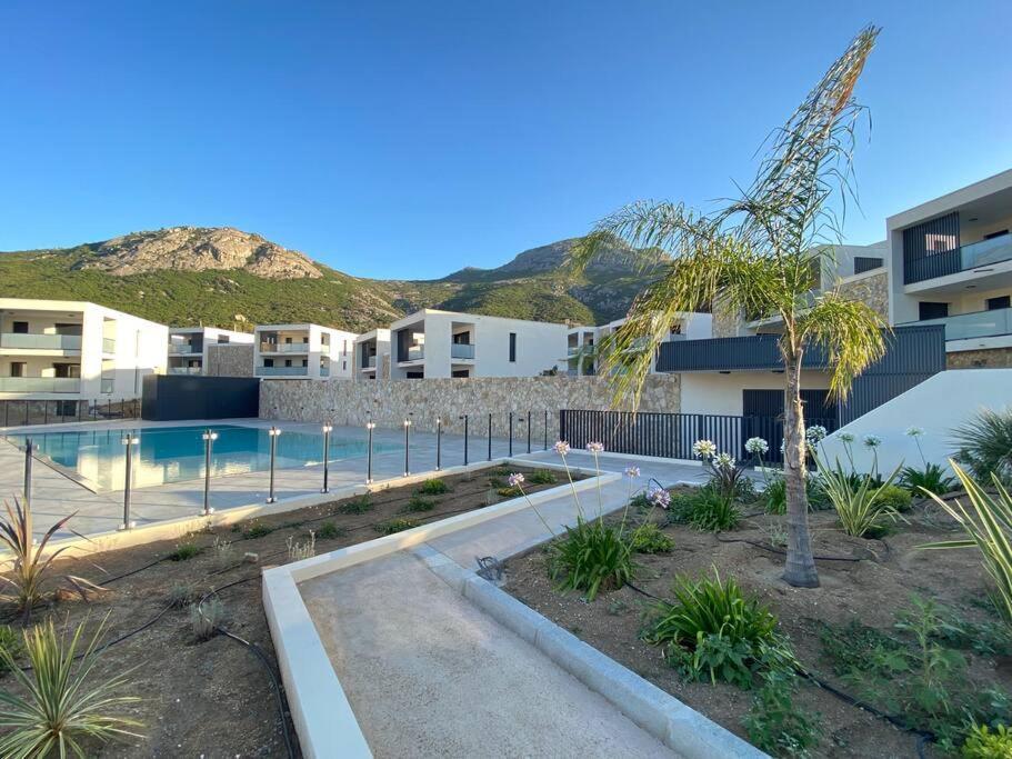 Apartamento Exceptionnelle Vue Calvi - Piscine - T2