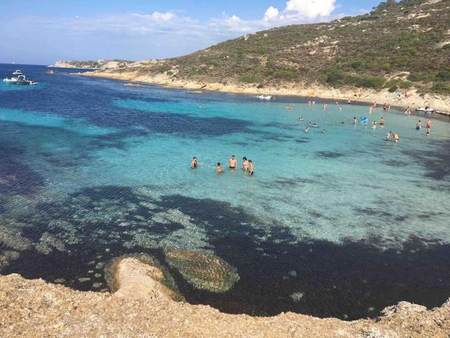 Exceptionnelle Vue Calvi - Piscine - T2 * Calvi (Corsica)