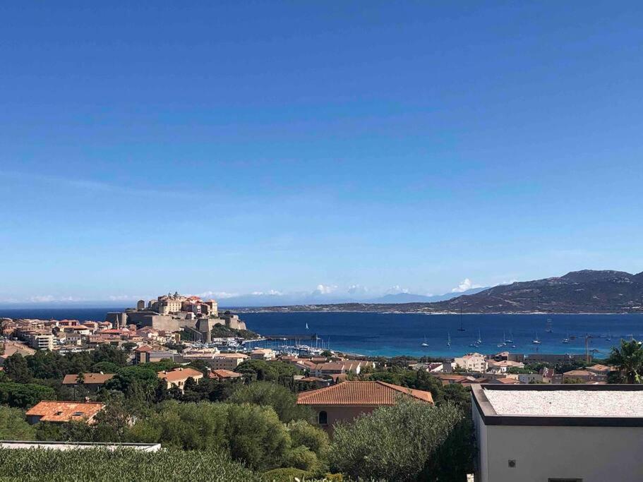 Exceptionnelle Vue Calvi - Piscine - T2 Apartment