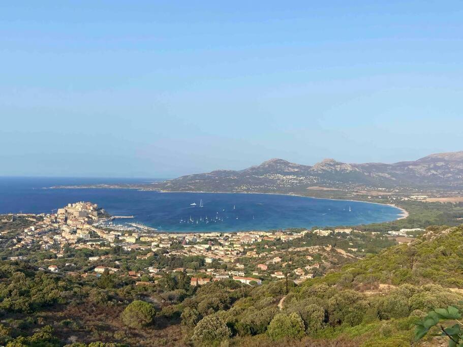 Exceptionnelle Vue Calvi - Piscine - T2 *