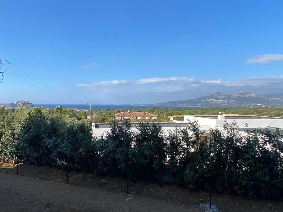 Appartement Exceptionnelle Vue Calvi - Piscine - T2 Calvi (Corsica)
