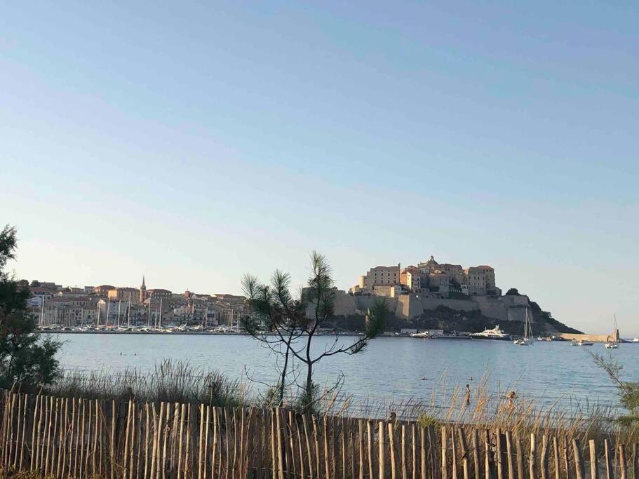 Exceptionnelle Vue Calvi - Piscine - T2 Calvi (Corsica)